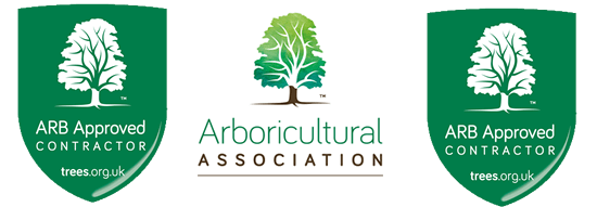 Arboricultural Association Approved Contractor